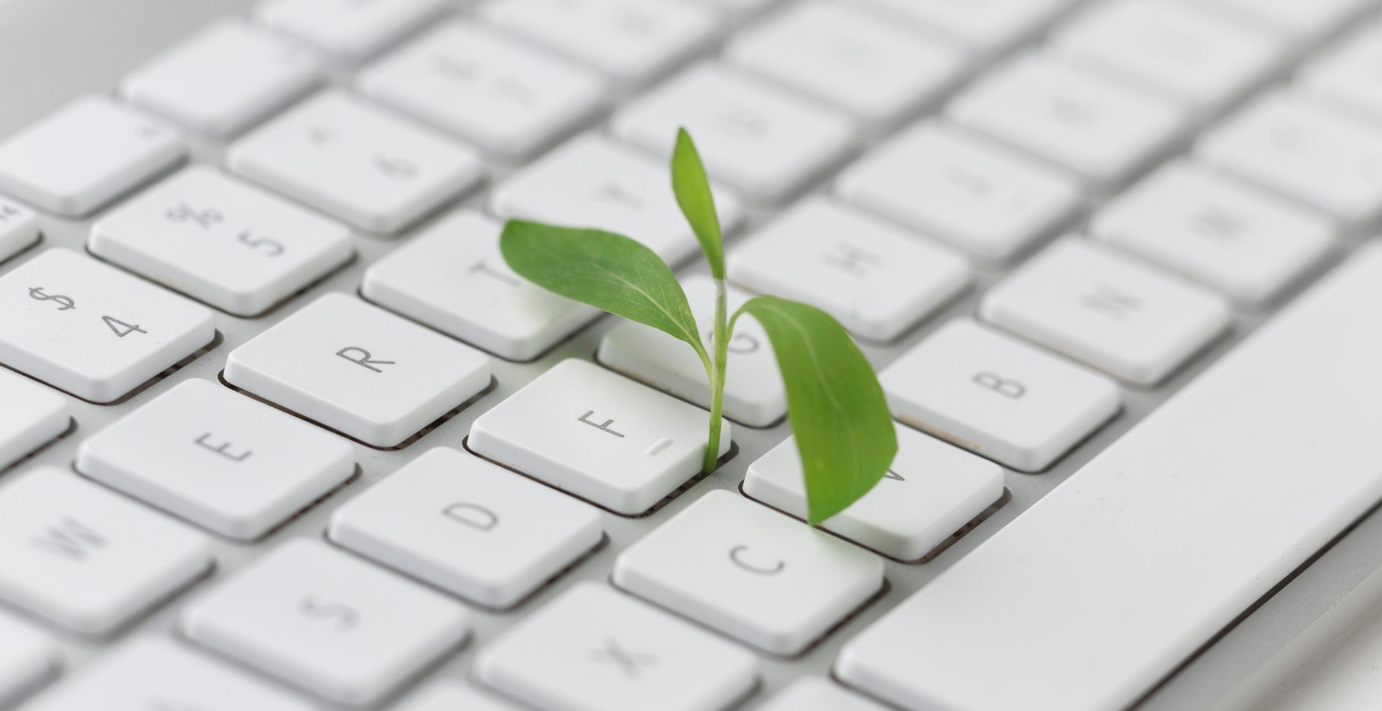Green Marketing: per le vendite e per l’ambiente 